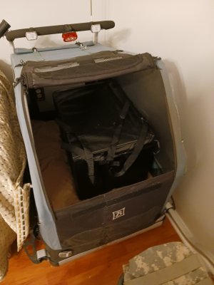 20250324_214702.jpg
