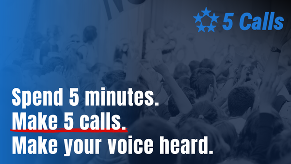 5calls.org